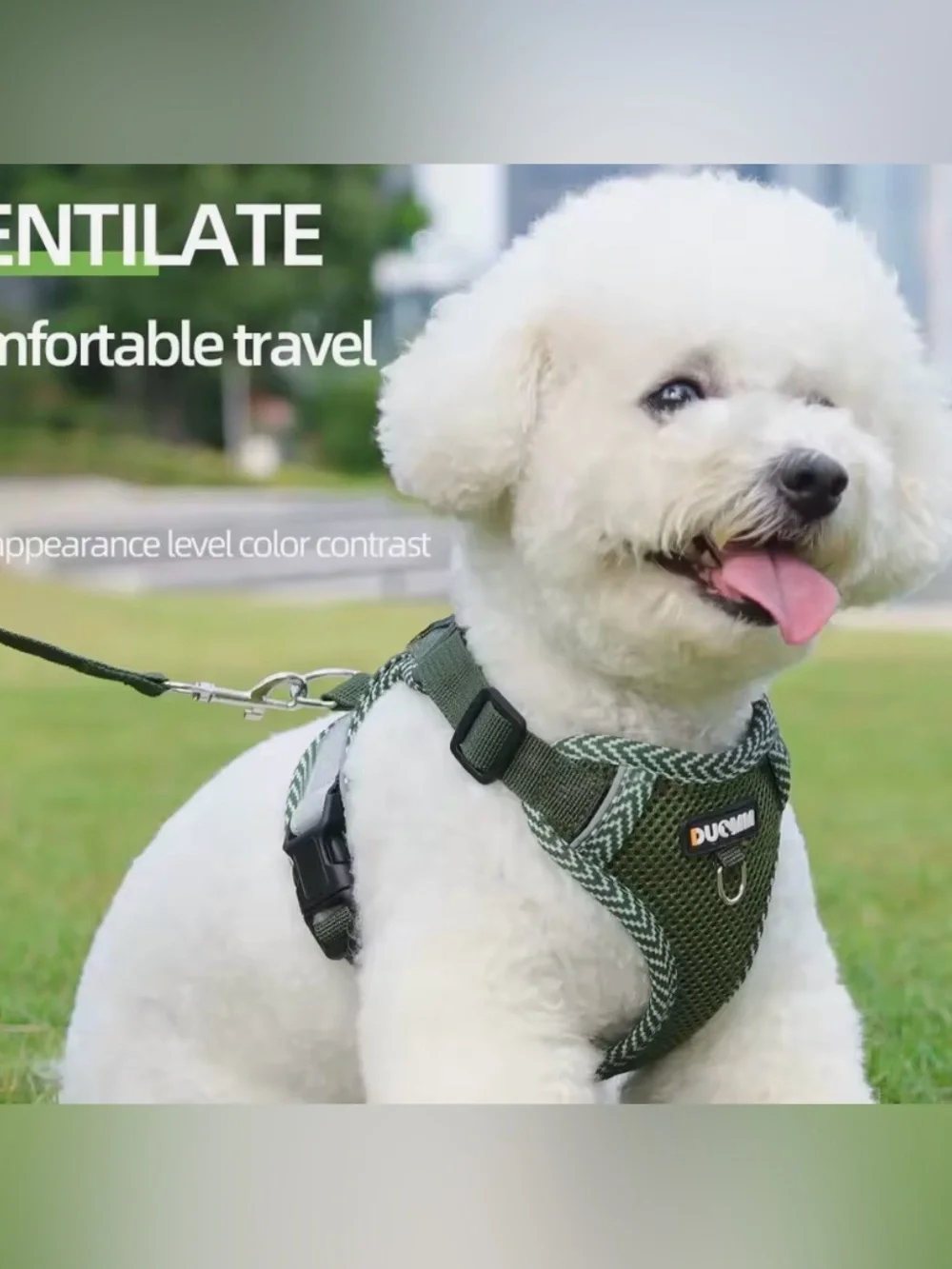 Pair of Olive Green Mesh Pet Harnesses